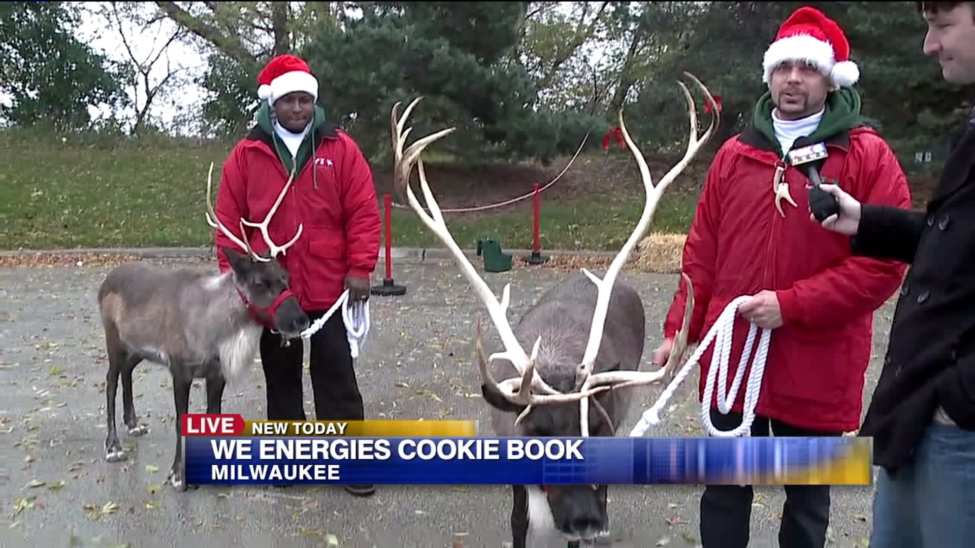 Pictures with reindeer