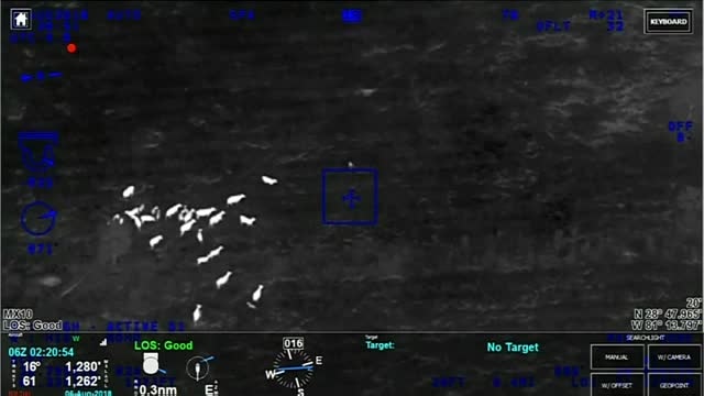 Cows lend a hoof, help cops catch suspected carjacker