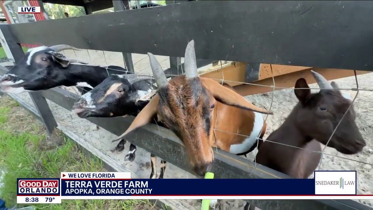 Terra Verde Farm in Apopka