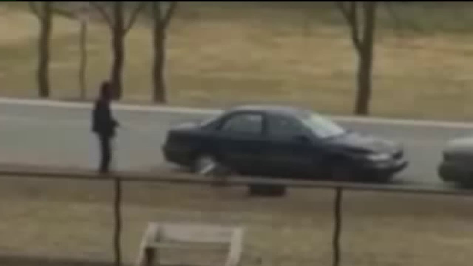 Concern over man`s actions on dog as witnessed in Currie Park