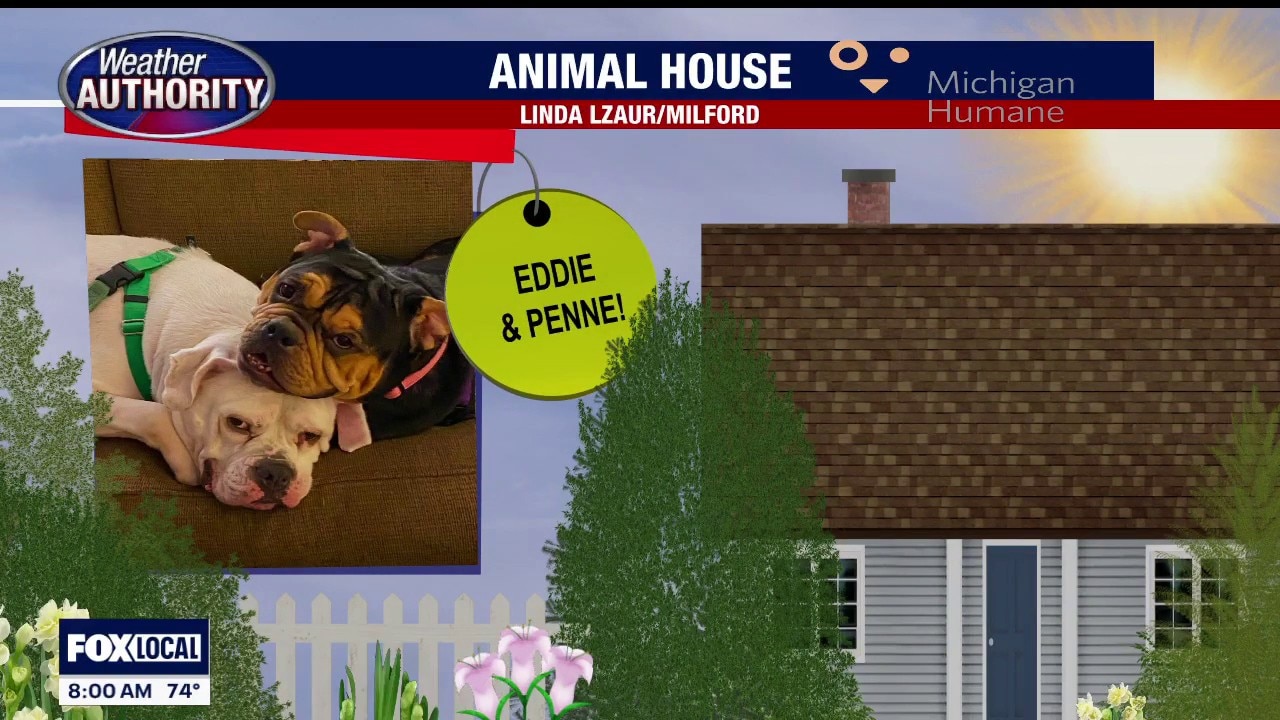 Welcome Eddie, Penne Grace, Keno, Ace