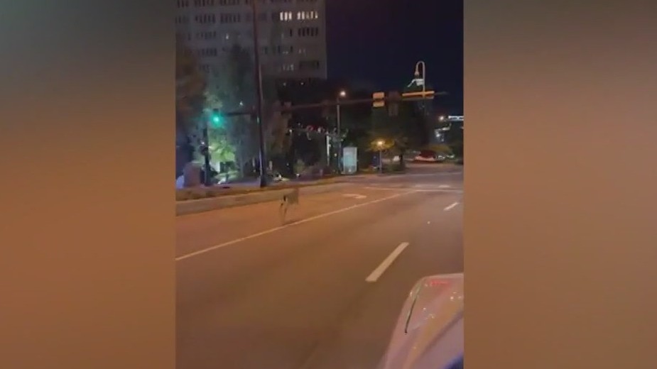 Deer dashes down Peachtree