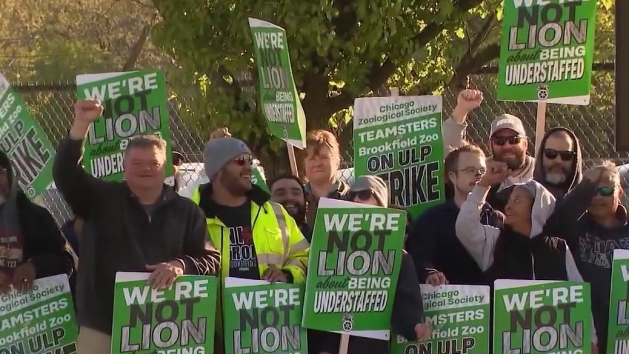 Some Brookfield Zoo Chicago workers strike as contract talks stall