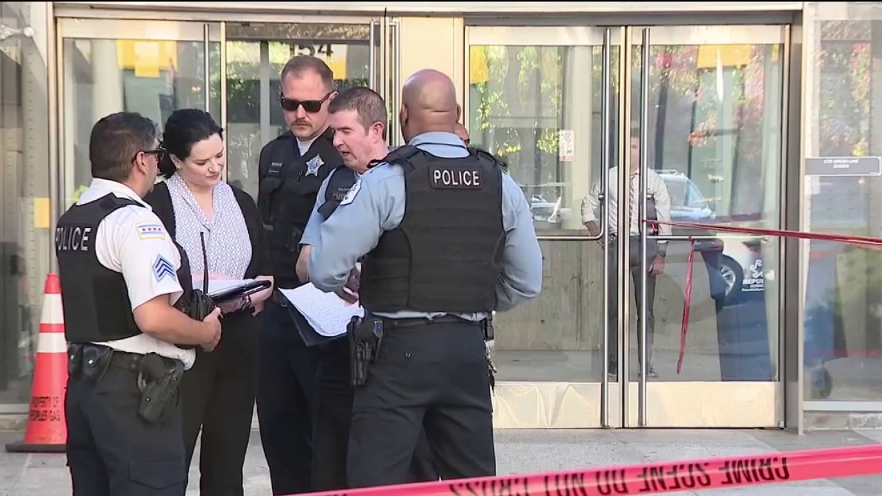 CTA janitor fatally stabbed at Green Line station, police say