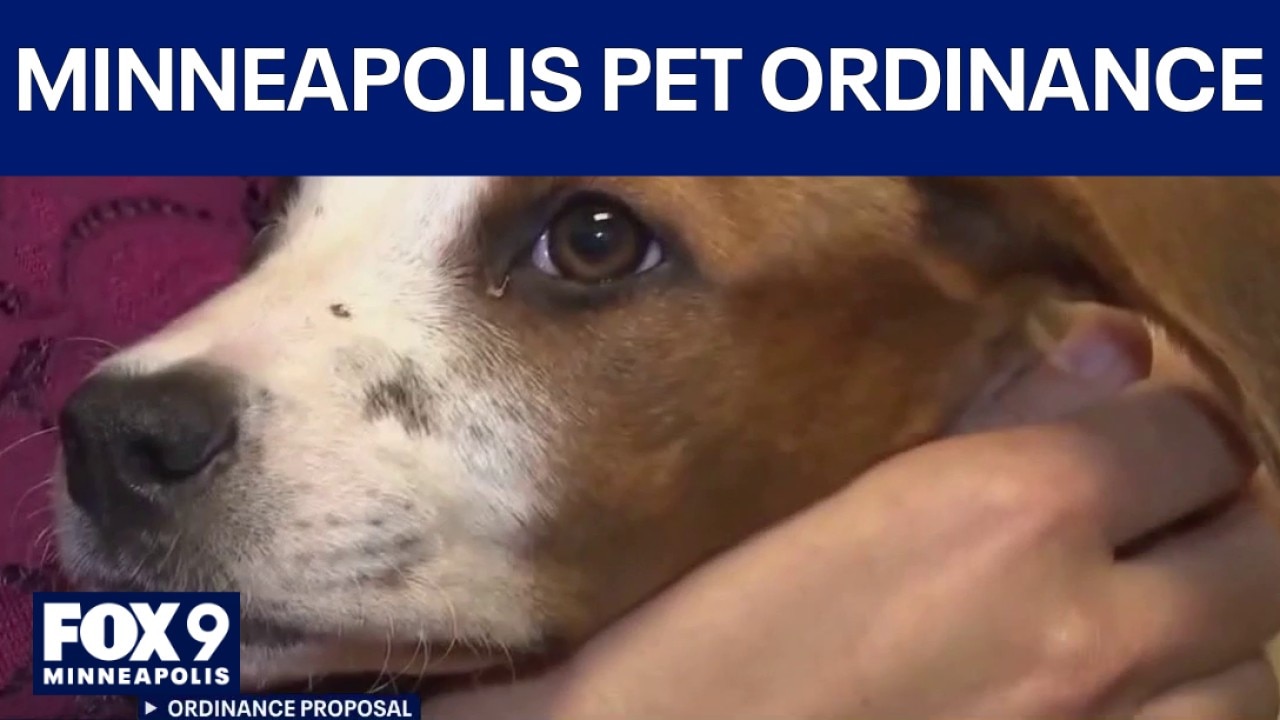 Felons may not have to pay for bigger pets in new Minneapolis ordinance