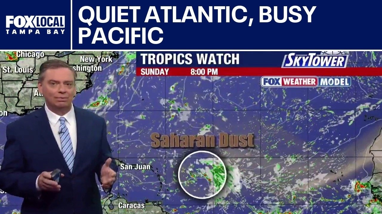 Tropical waves hindered by Saharan dust