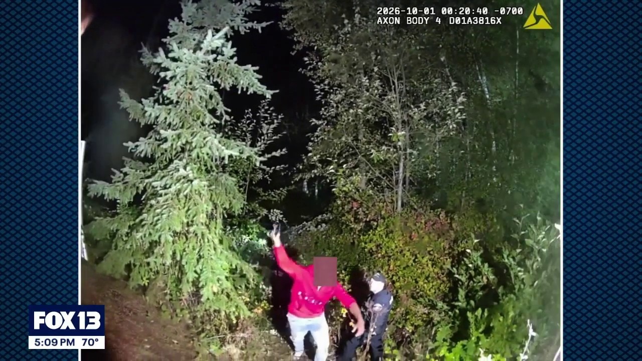Pierce County deputies find suspect hiding in blackberry bushes