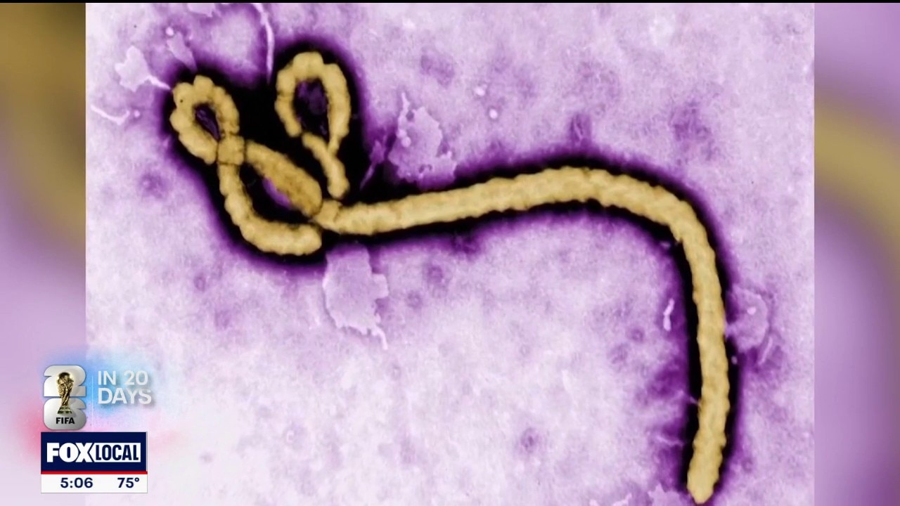 Officials monitor World Cup for Ebola, hantavirus risks