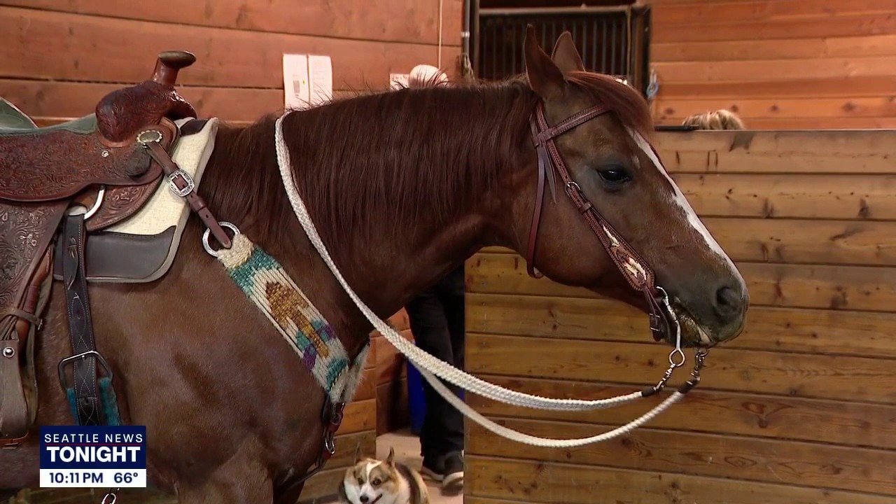 Former employee charged after Enumclaw horse theft