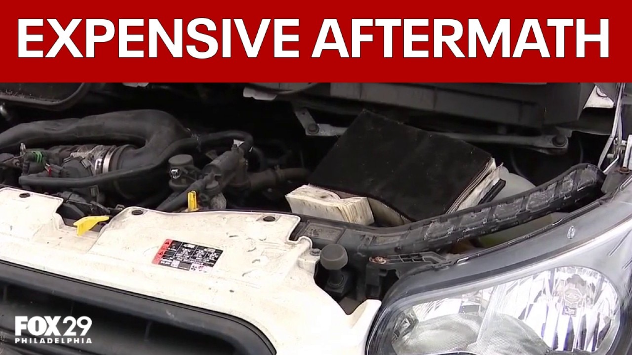 Car shops busy after Camden County flooding
