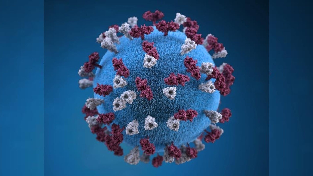 Arizona measles outbreak surges to 121 cases