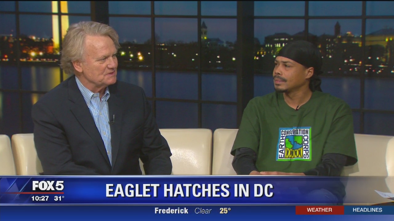 Earth Conservation Corps excited about eaglet hatching in DC