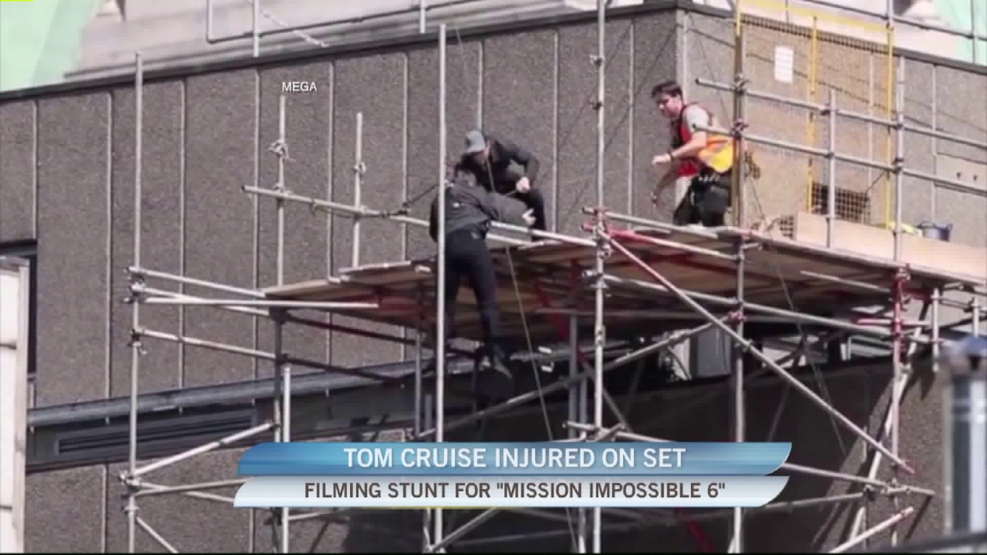 Gino talks about the stars that do their own stunts