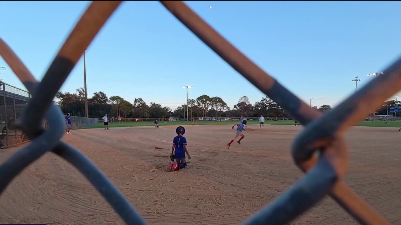 Youth baseball driving new generation of Rays fans