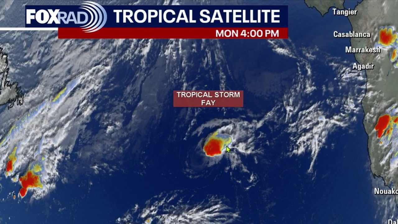 Tropical Weather forecast: Tropical Storm Faye, Hurricane Polo, and more