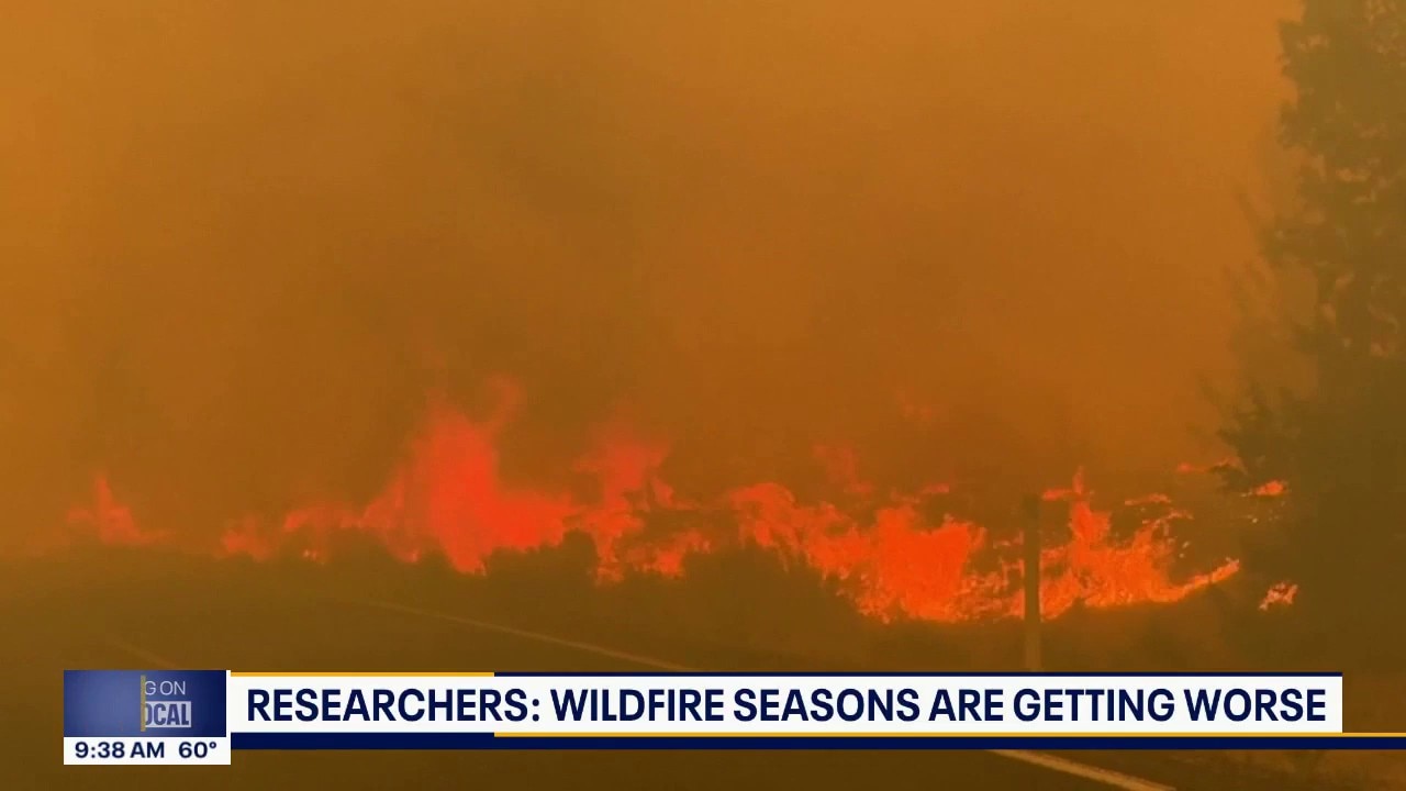 Researchers say wildfire seasons are getting worse. Here's why