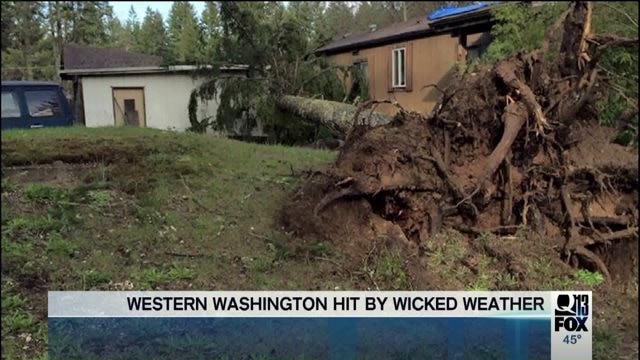 Strong winds topple trees, power lines