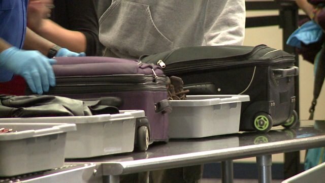 Beware of bed bugs! What to look for and how to prevent the pests from coming home with you