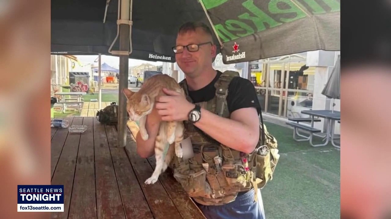 How a soldier befriended a stray cat while serving in Iraq