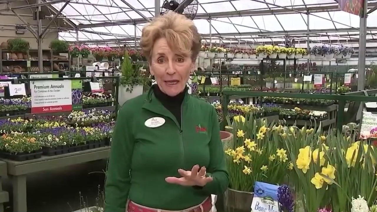 Rena Sartain gives spring planting tips
