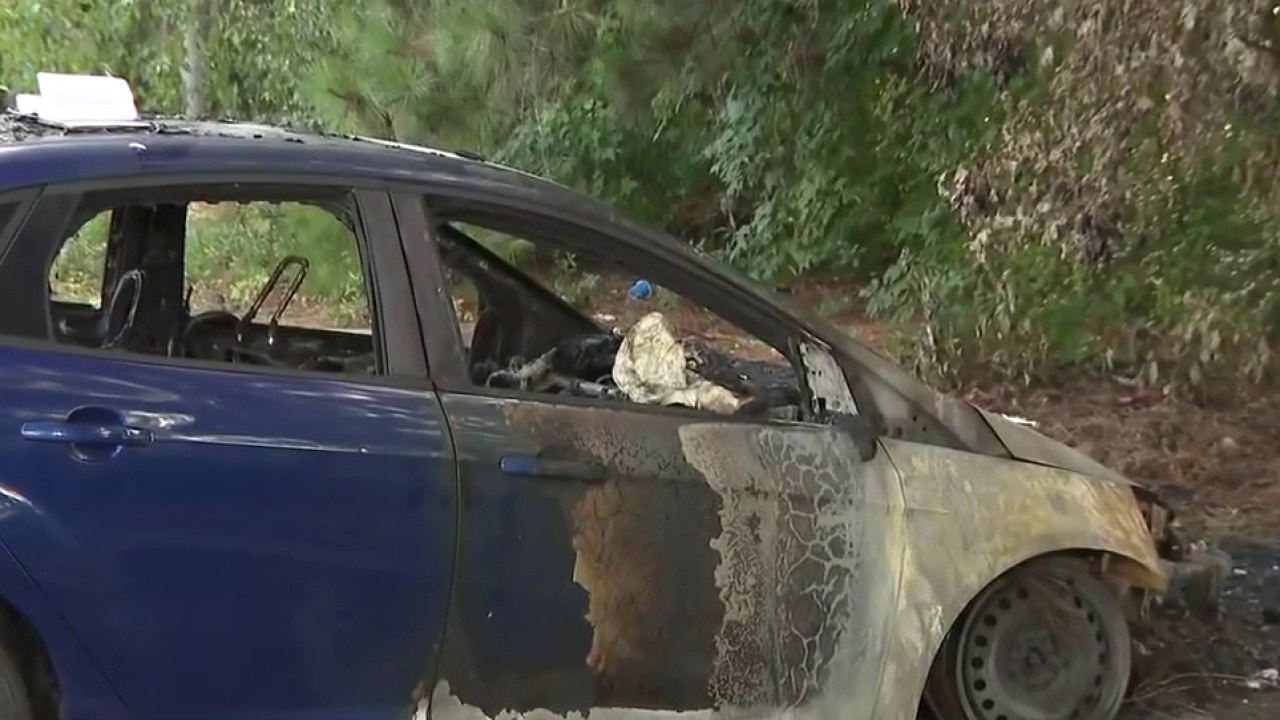 Surveillance video shows suspects torching car in Riverdale