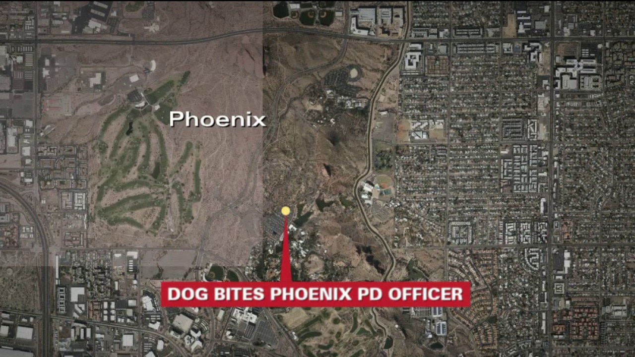 Phoenix officer hospitalized after trying to rescue dog from hot car