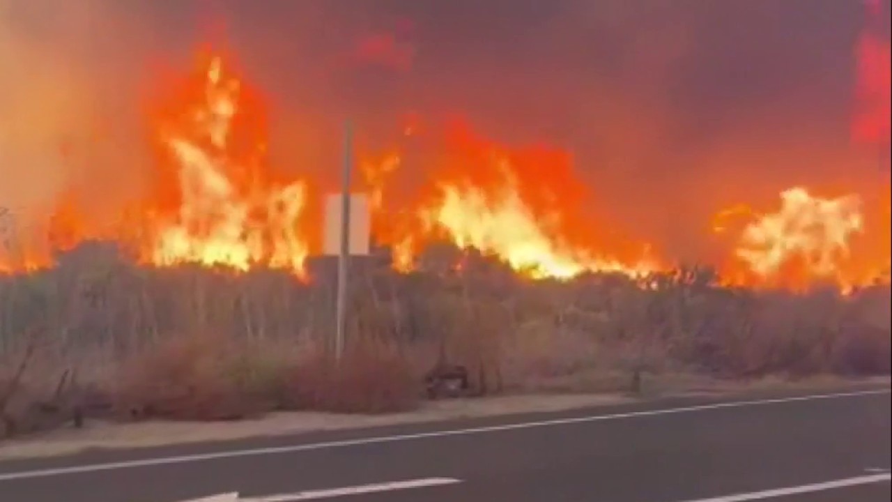 Henderson Fire burns 2,000+ acres in San Diego County