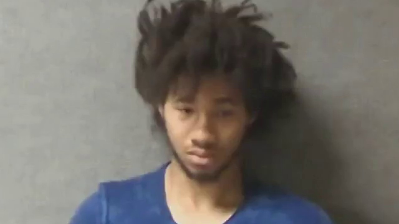 Man charged in crash that killed Uber driver in Oak Park