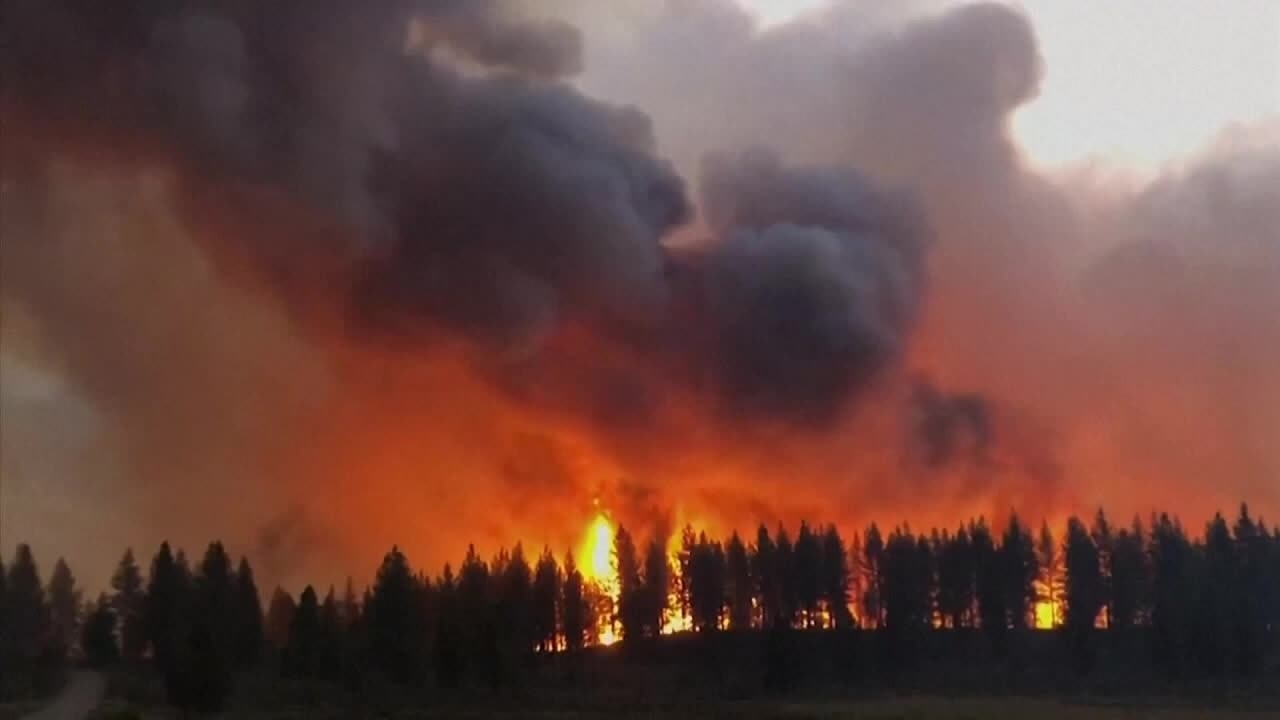 Scientists explain why wildfires are becoming more severe