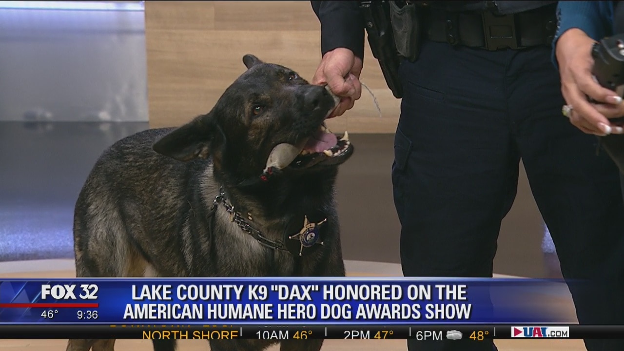 Lake County K9 'Dax' honored on the American Humane 'Hero Dog Awards' show