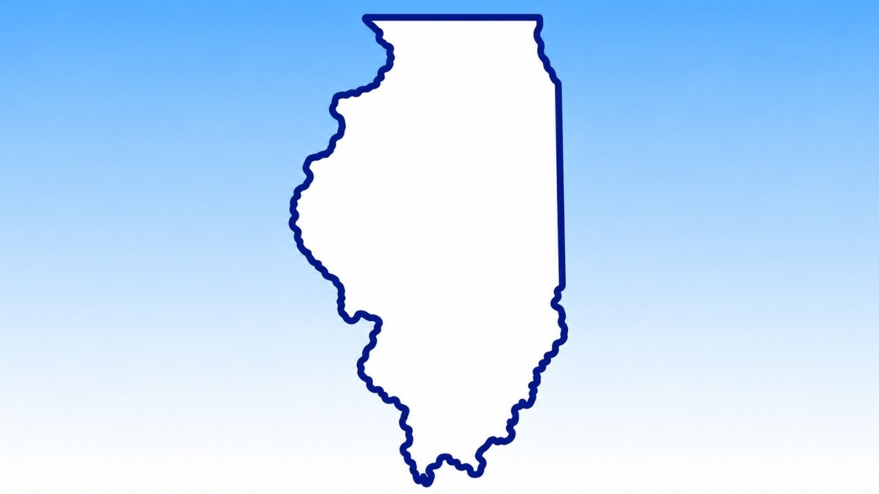Why some Illinois counties want to separate from Cook County