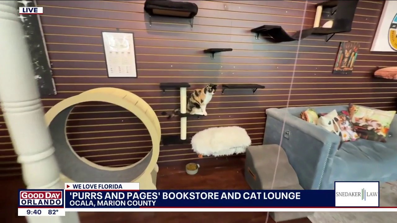 Purrs and Pages bookstore and cat cafe in Ocala