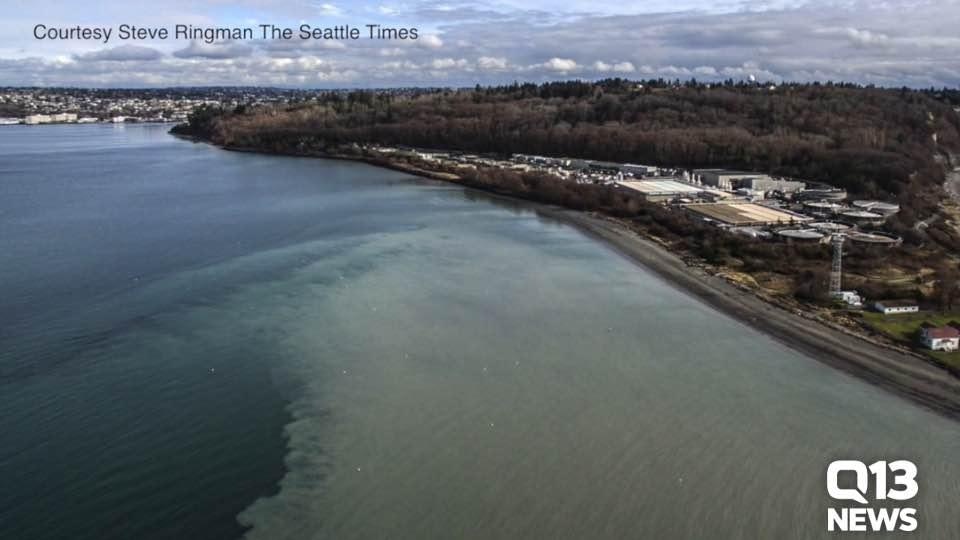 County council seeks independent investigation into waste water plant accident
