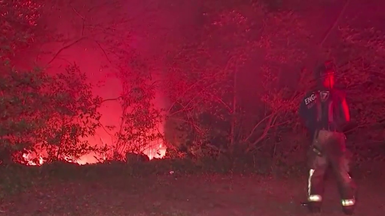 Arson hunt caused catastrophic wildfires in Georgia