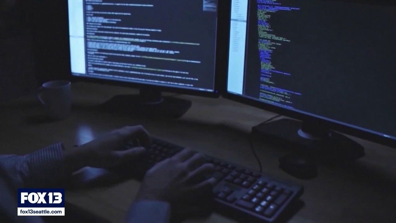 Major security flaw causes cyber outage, website shutdowns