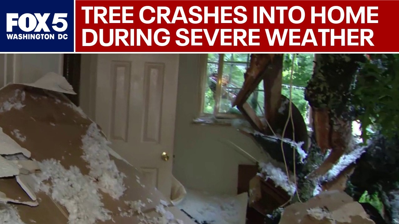 Tree crashes through Maryland home during severe weather