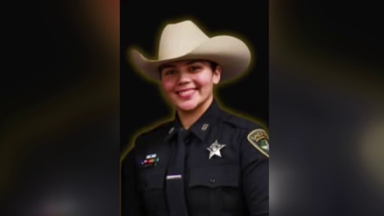 Texas deputy killed on freeway while on duty
