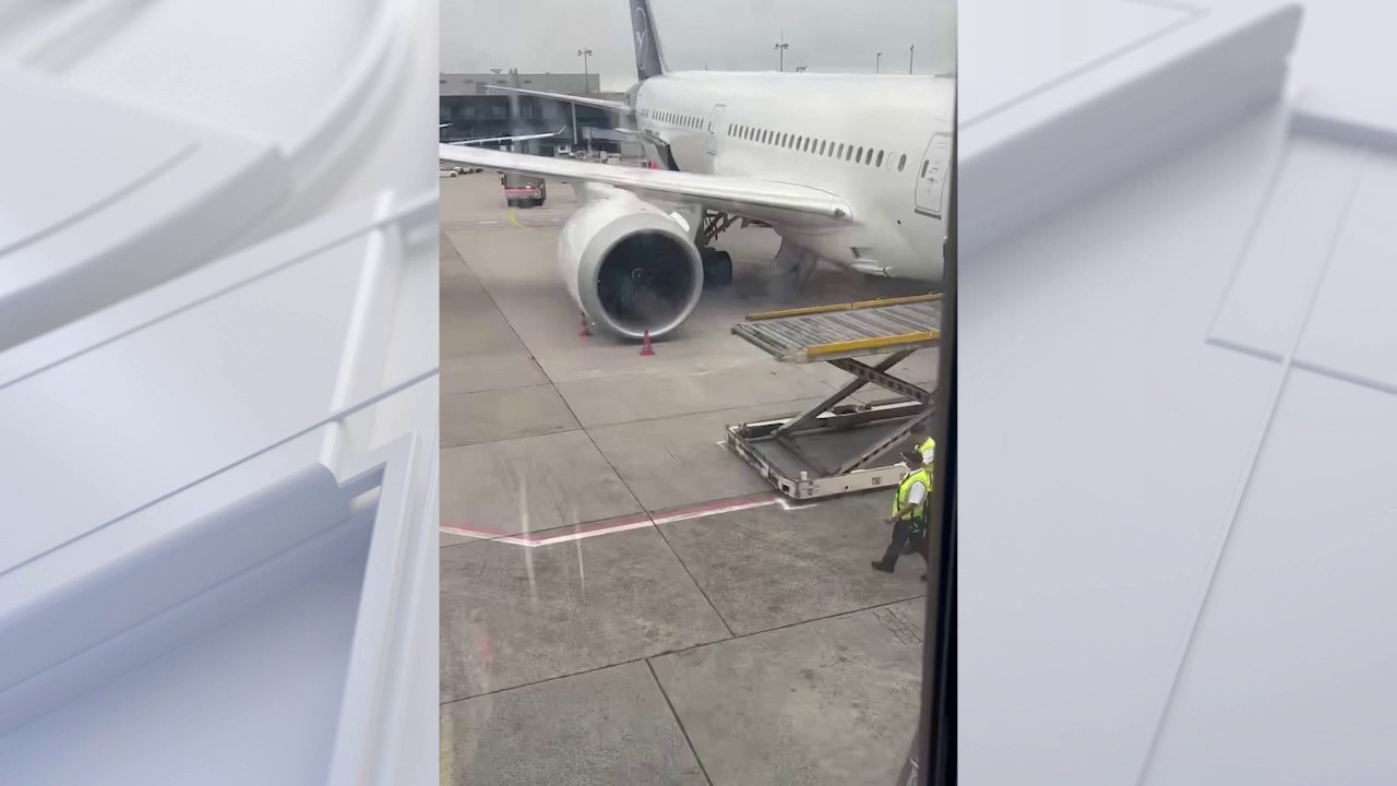 Several Lufthansa Employees Injured After Plane's Nose Gear Collapses in Frankfurt