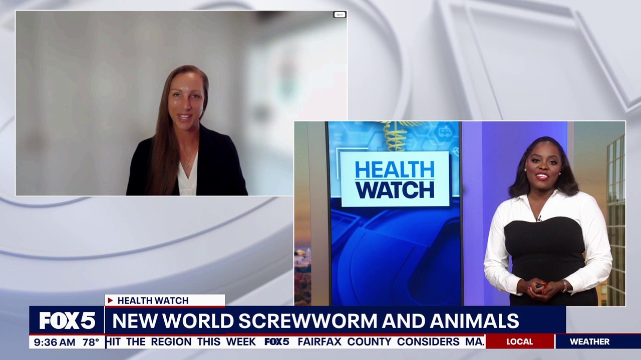 New World Screwworm and Animals