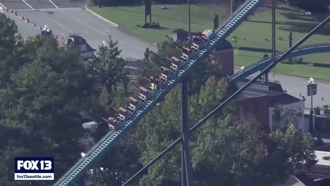 Man killed after falling from Six Flags roller coaster in Georgia