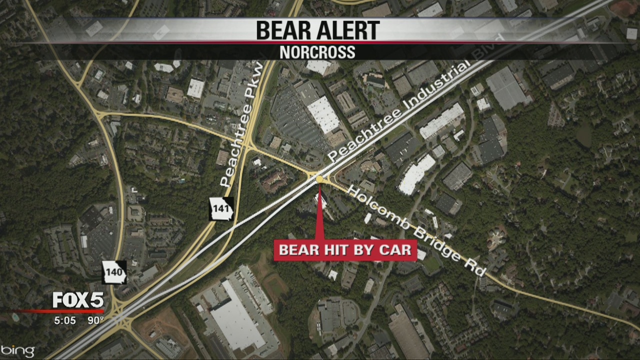Bear Alert