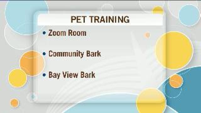 Locally-owned places to take your pets
