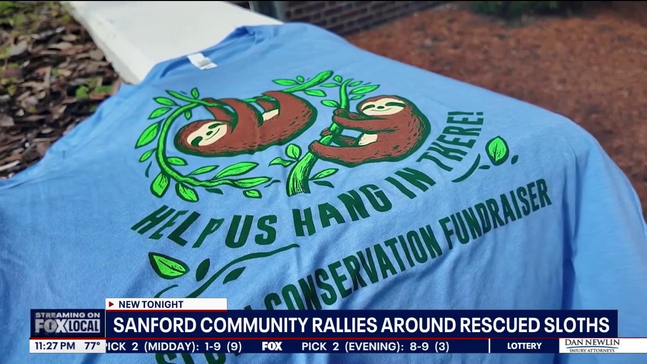 Community rallies to support rescued sloths in Sanford