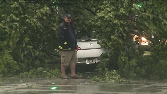 It was pretty scary: Driver slams into downed tree on South 60th Street after storms