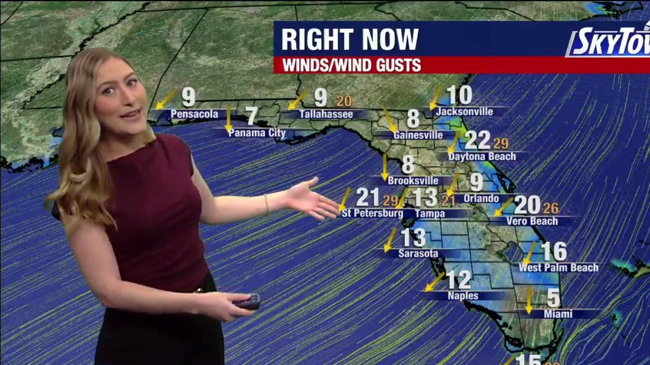 Tampa Weather | Sunday Forecast