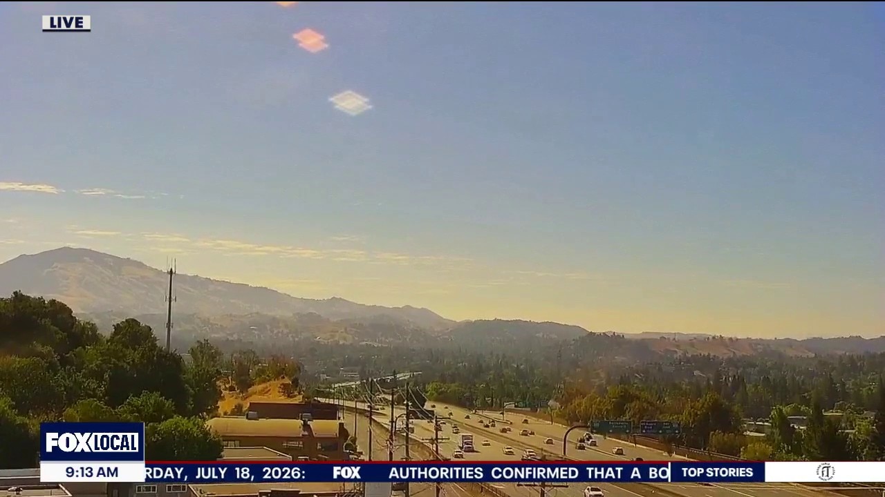 Tropical vibes are back in the Bay Area