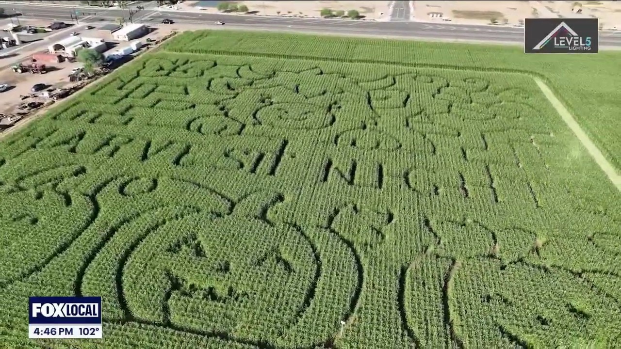 Arizona pumpkin picking and fall fun | Drone Zone