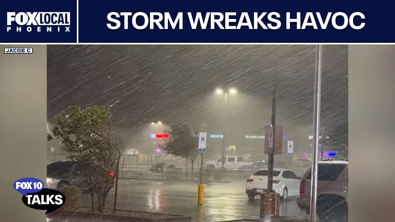Monsoon mayhem; when a mental health crisis unfolds on social media | FOX 10 Talks