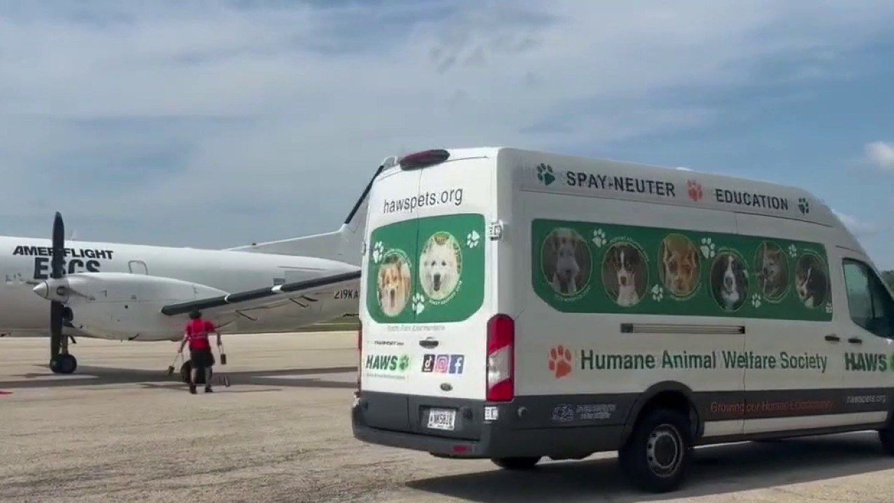 HAWS kicks off Clear the Shelters 2026
