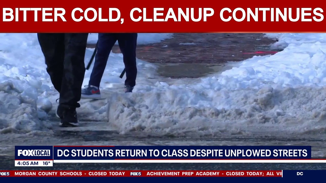 Bitter Cold, Snowstorm Cleanup Continues | FOX 5 AT 4AM